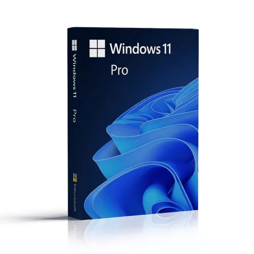 Licență Microsoft Windows 11 Pro (FPP Retail)
