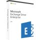 Licență Microsoft Exchange Server 2019 Enterprise (Lifetime)